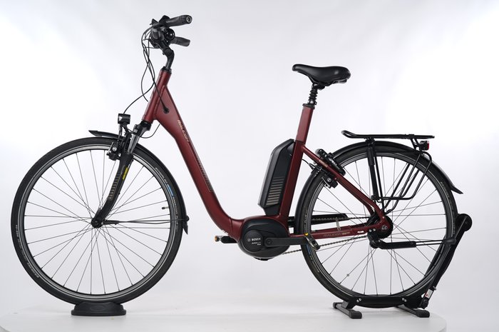 Raleigh Kingston 8 FL