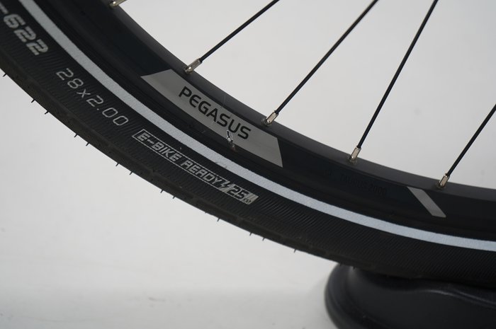 PEGASUS Premio EVO 10 Lite