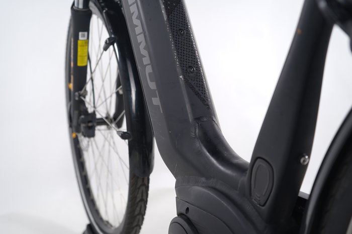 Mammut-Bike E-Dition Sport 10