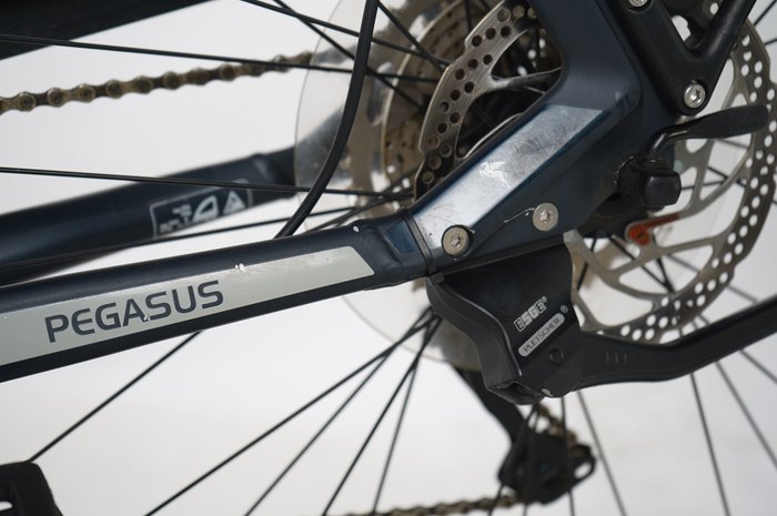 PEGASUS Premio EVO 10 Lite