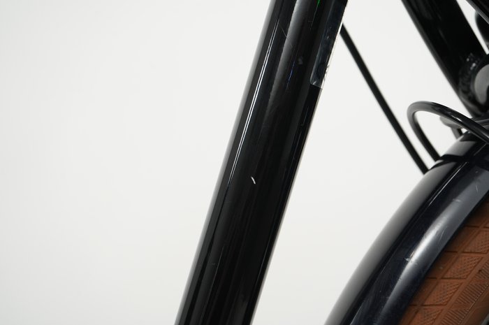 Riese & Müller Cruiser2 silent