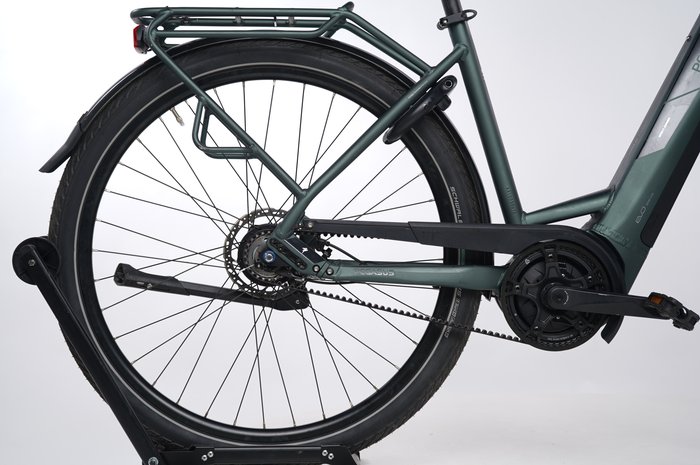 PEGASUS Solero Evo 8R Belt