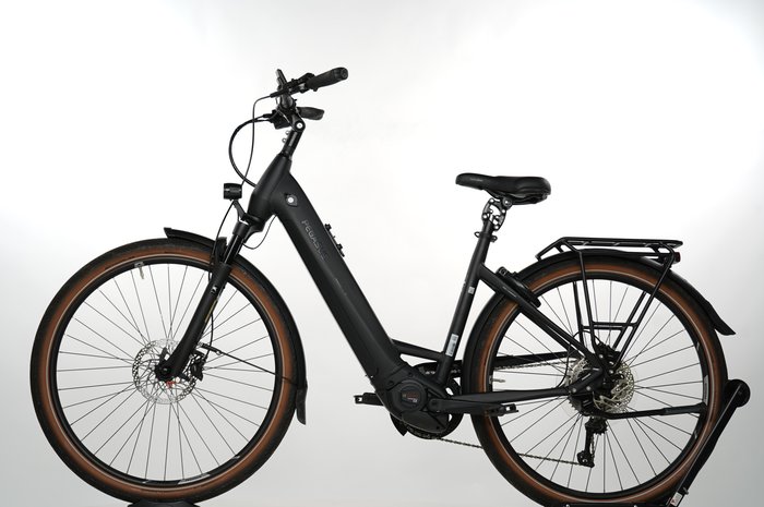 PEGASUS Premio EVO 10 Lite