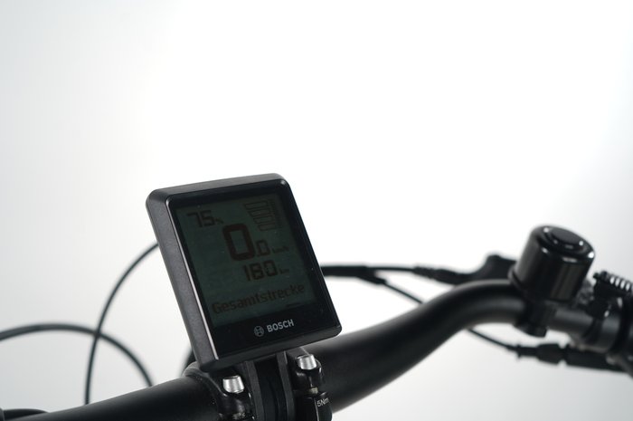 Pegasus Premio EVO 5R Belt