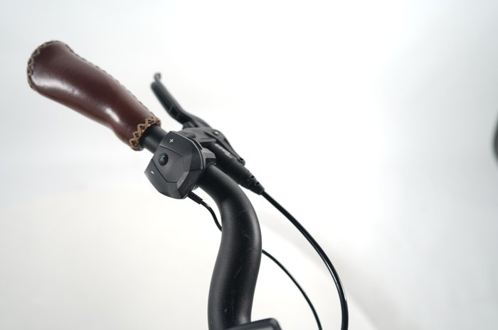 Riese & Müller Swing silent