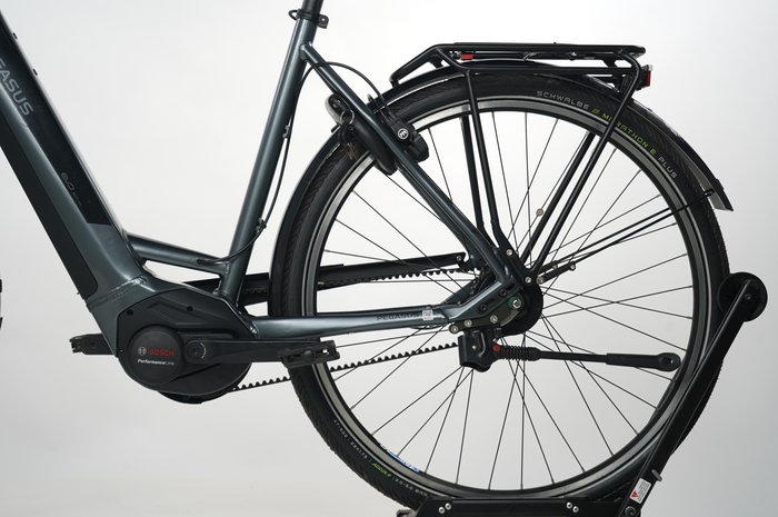 PEGASUS Premio EVO 5R Belt