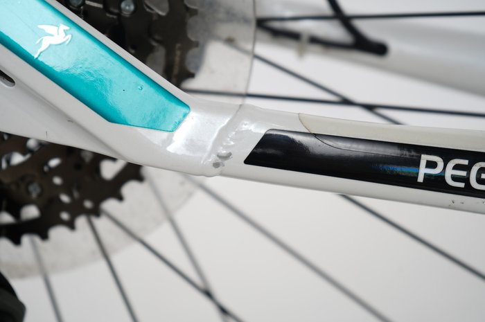 PEGASUS Premio EVO 10 Lite