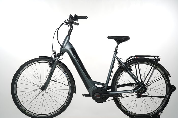 PEGASUS Premio EVO 5R Belt