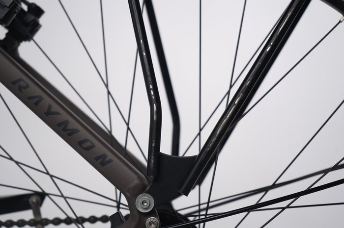 R RAYMON CityRay E 2.0