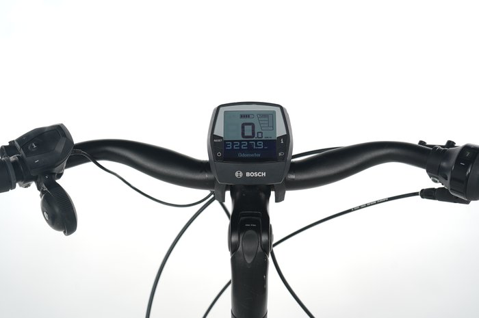 Raleigh Bristol Premium