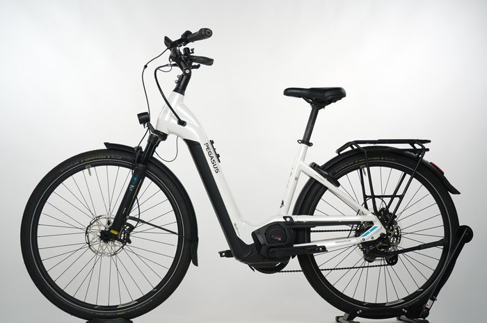 Pegasus Premio Evo 11