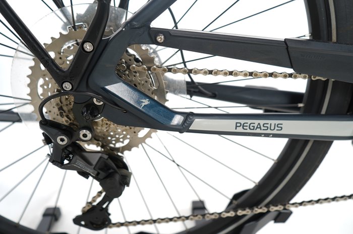 PEGASUS Premio EVO 10 Lite
