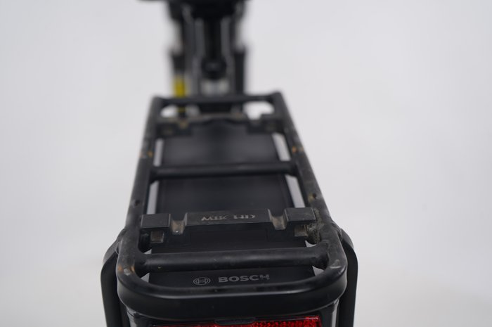 Riese & Müller Swing