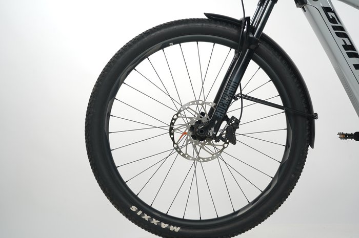 Giant Stance E+ EX PRO