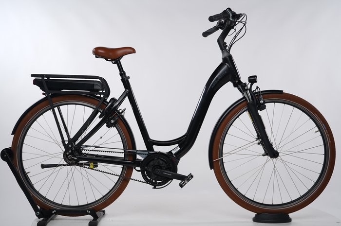 Riese & Müller Swing rücktritt