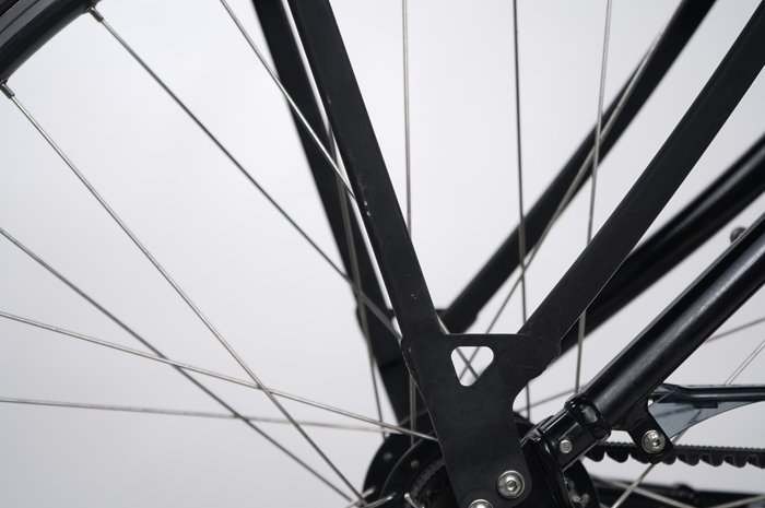 Riese & Müller Swing