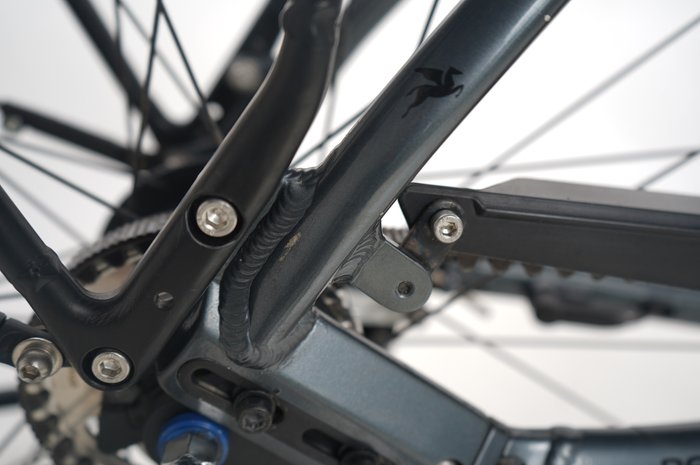 PEGASUS Premio EVO 5R Belt