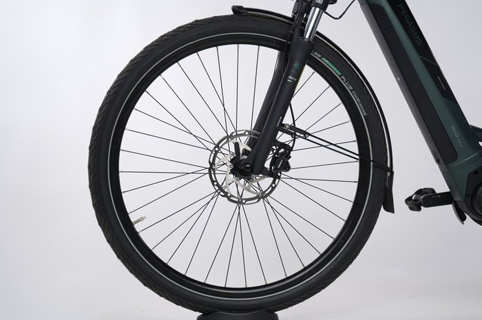 PEGASUS Solero Evo 8R Belt