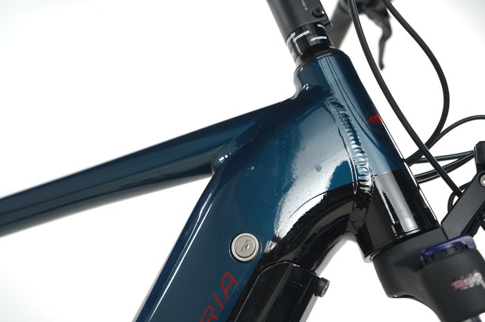 Victoria eTrekking 11.9