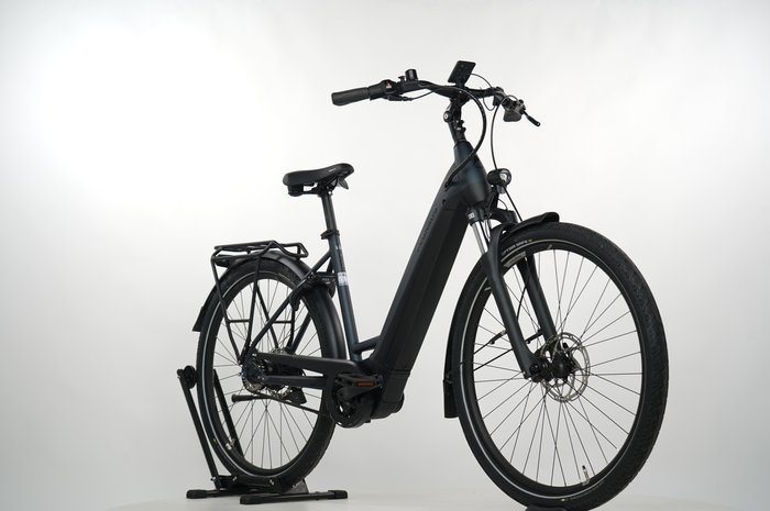 Pegasus Premio EVO 5R Belt