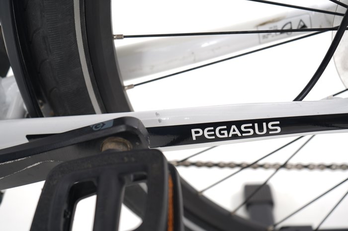 Pegasus Premio EVO 10 Lite