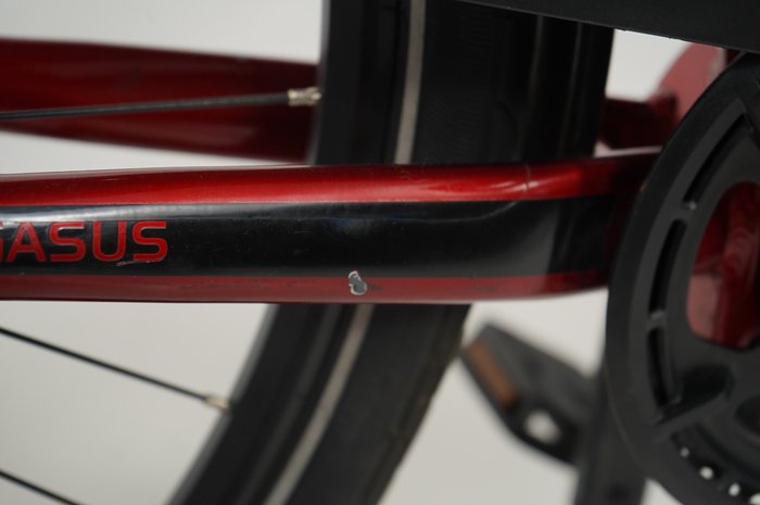 PEGASUS Premio EVO 10 Lite 750