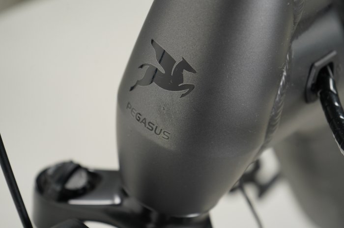 PEGASUS Premio EVO 5F Lite