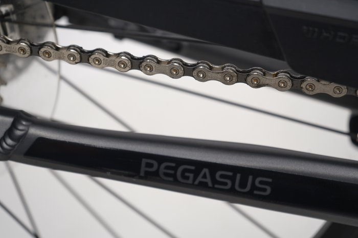 Pegasus Premio EVO 10 Lite