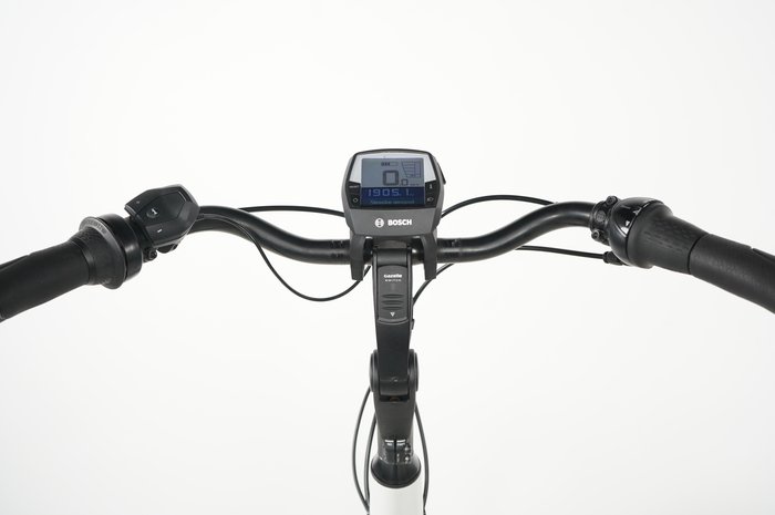 Gazelle Arroyo Elite C7+
