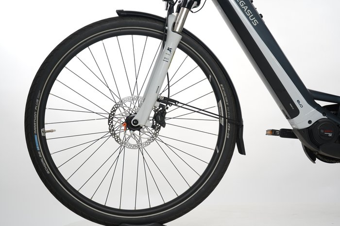PEGASUS Premio EVO 10 Lite 750