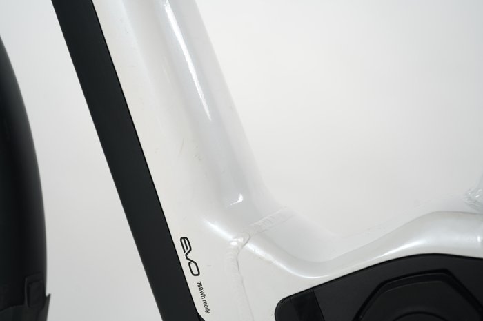 Pegasus Premio Evo 11