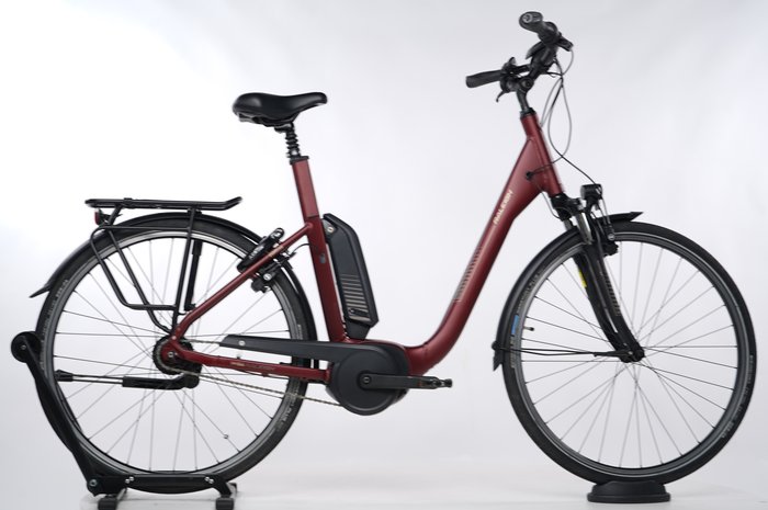 Raleigh Kingston 8 FL