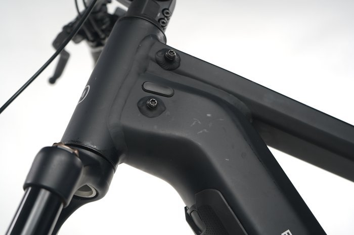 Riese & Müller Charger GT