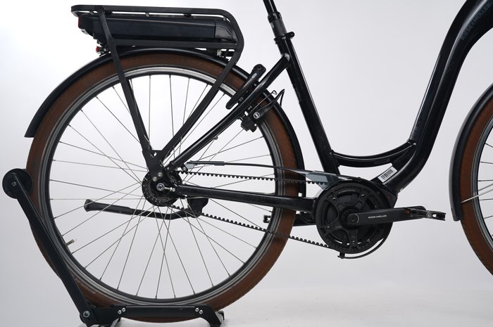 Riese & Müller Swing