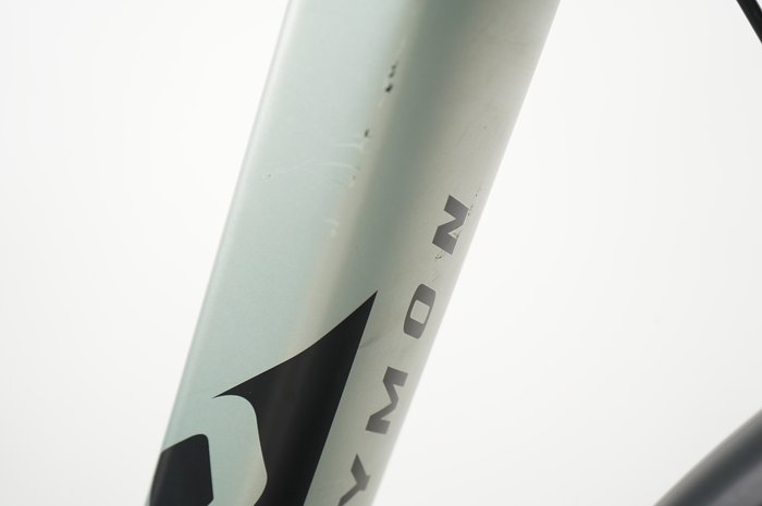 R RAYMON CityRay E 1.0
