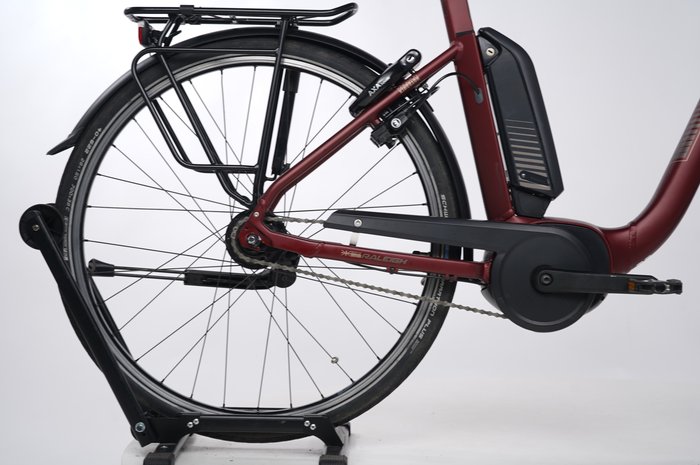 Raleigh Kingston 8 FL