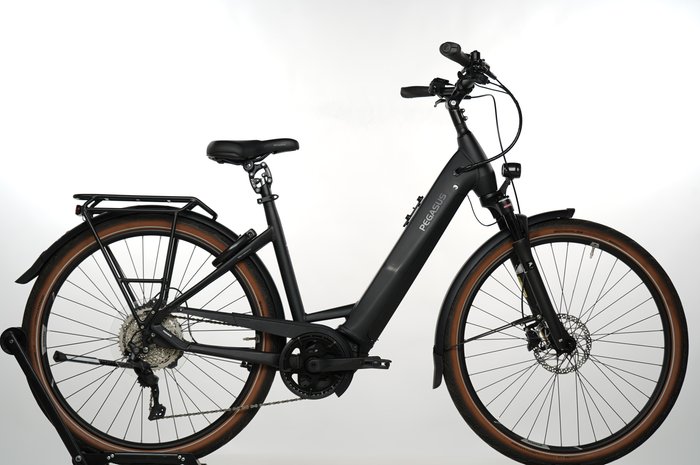 PEGASUS Premio EVO 10 Lite
