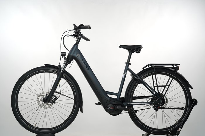 Pegasus Premio EVO 5R Belt