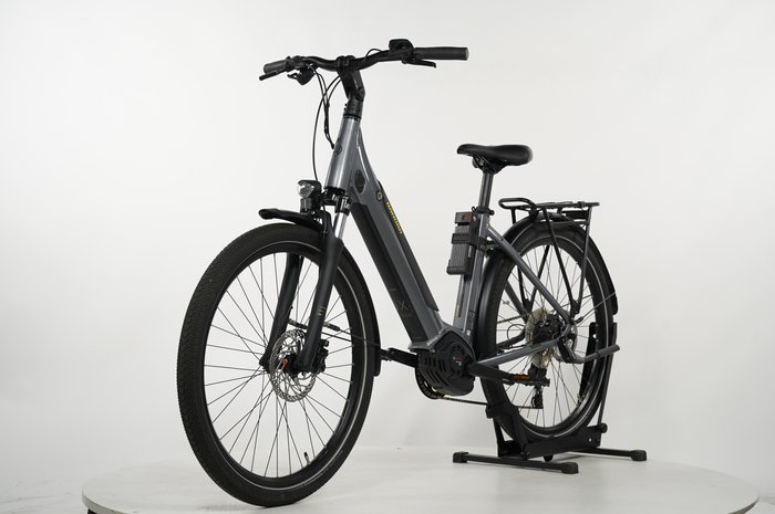 Winora Sinus iX10