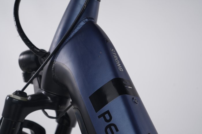 Pegasus Strong EVO 10 Lite