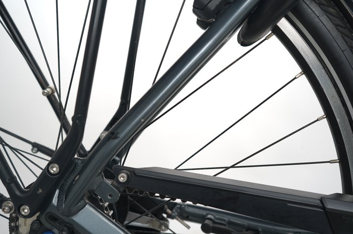 PEGASUS Premio EVO 5R Belt