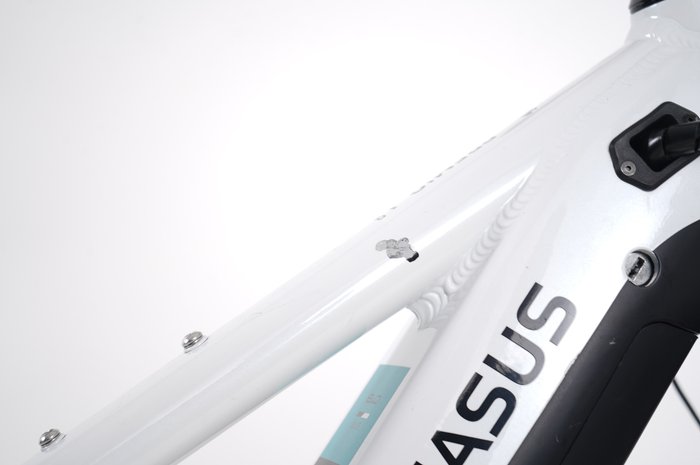 Pegasus Premio EVO 10 Lite