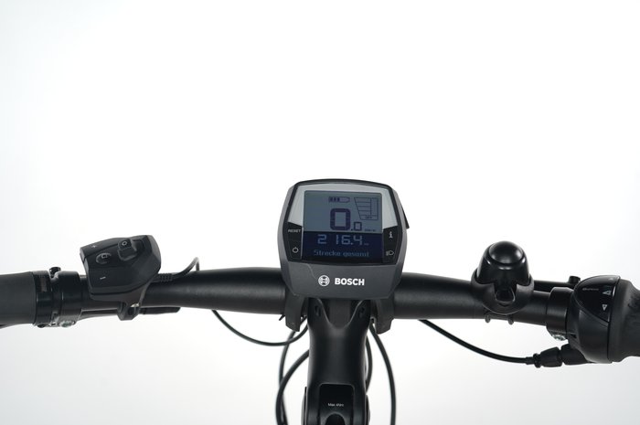 Gazelle Ultimate C8+ HMB Belt Lady