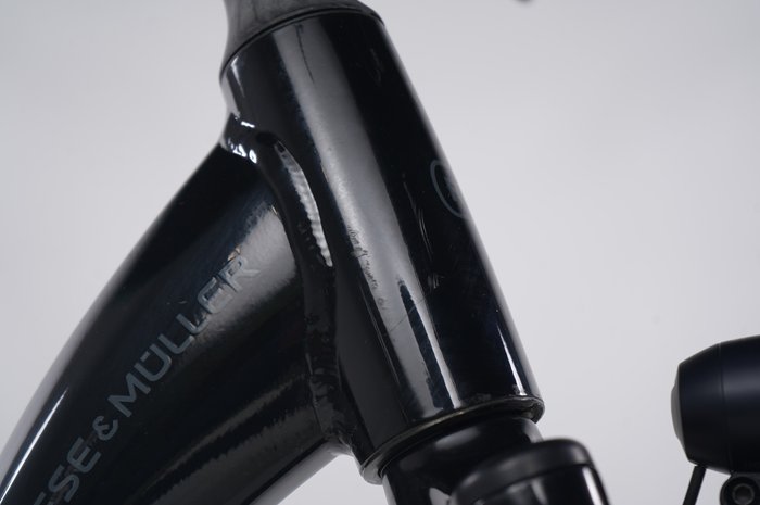 Riese & Müller Swing