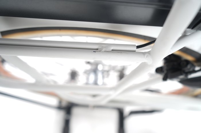 Gazelle Miss Grace C7+ HMB