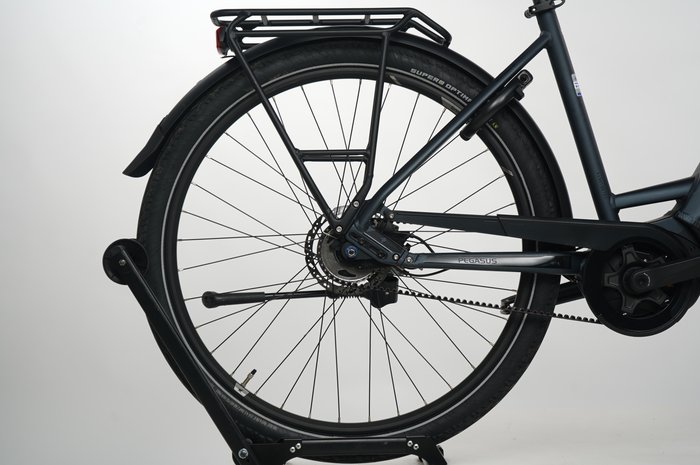 Pegasus Premio EVO 5R Belt