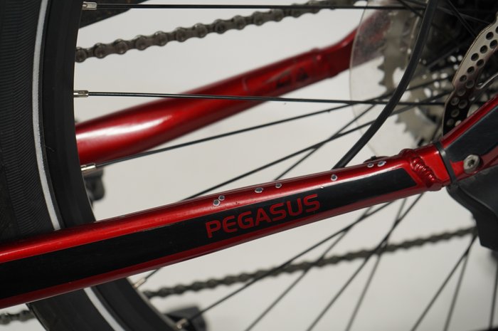 PEGASUS Premio EVO 10 Lite 750