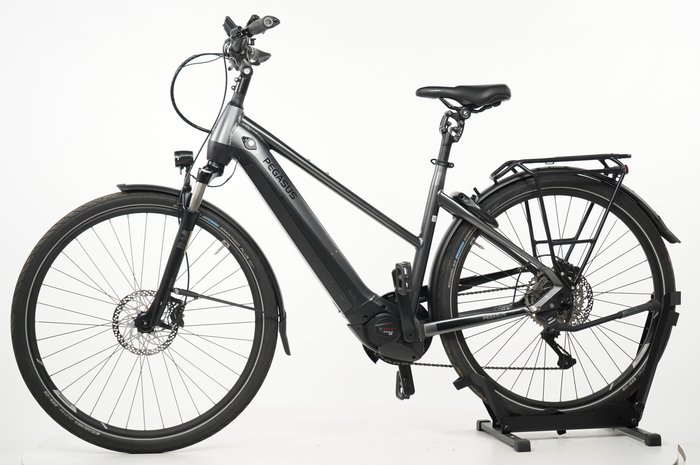 PEGASUS Premio EVO 10 Lite 750