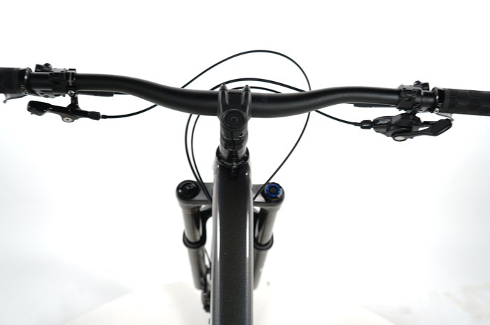 Trek Remedy 8