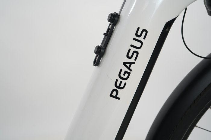 Pegasus Premio Evo 11